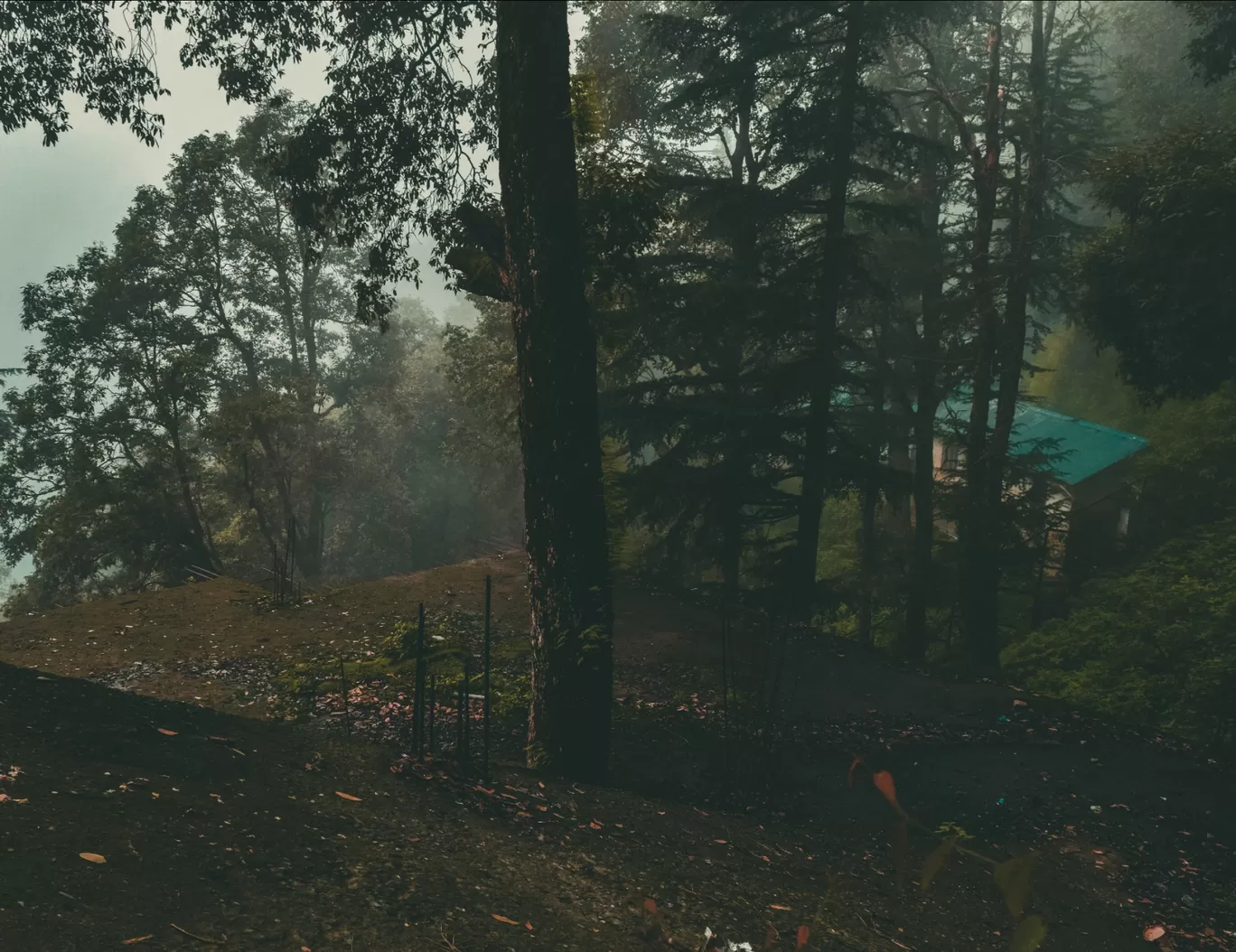 Photo of McLeod Ganj By MAYANK SHARMA
