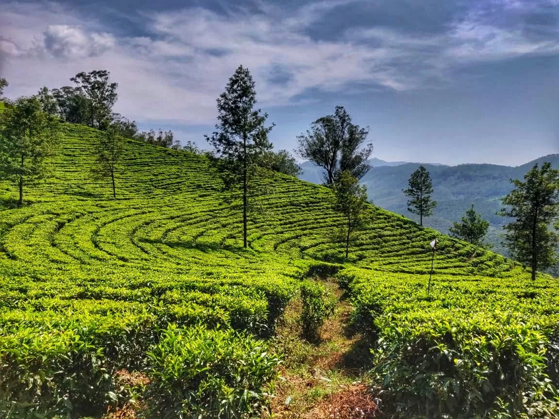 Photo of Kerala By Sonal Singh