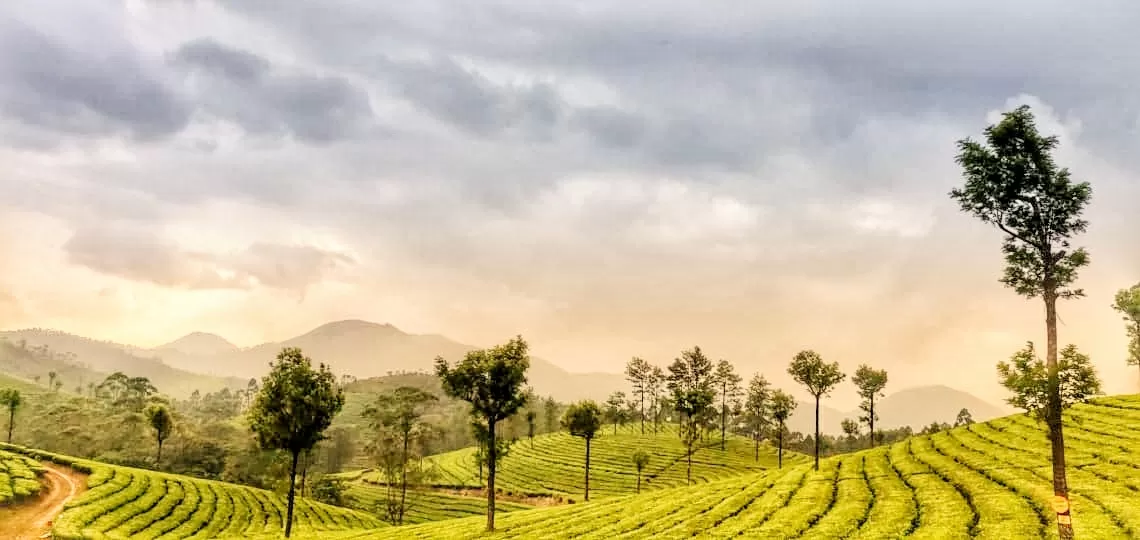 Photo of Kerala By Sonal Singh