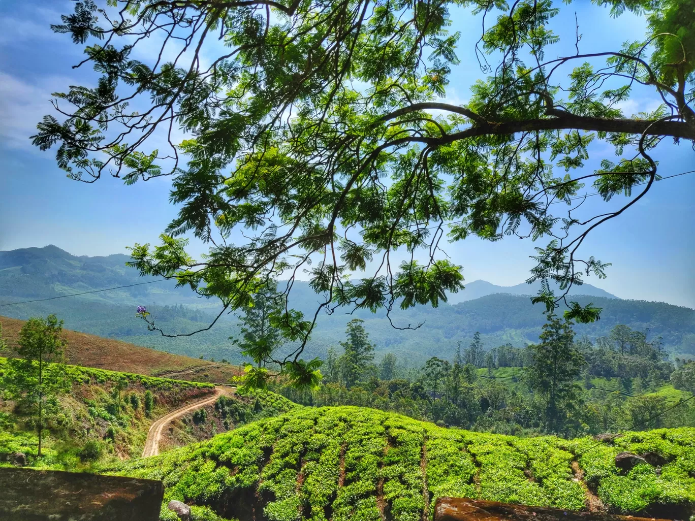 Photo of Kerala By Sonal Singh