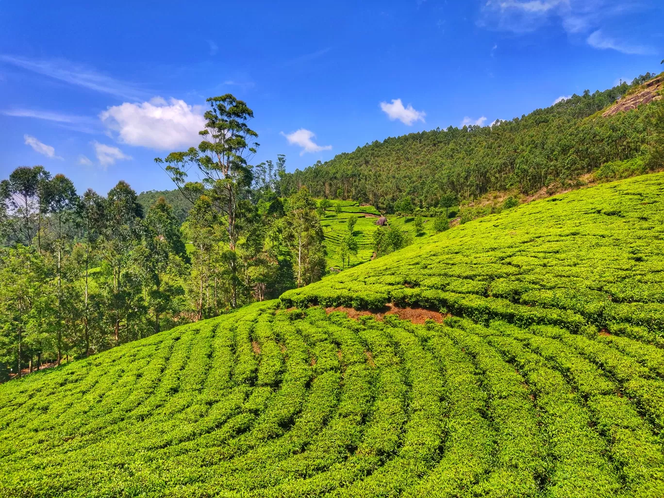 Photo of Kerala By Sonal Singh
