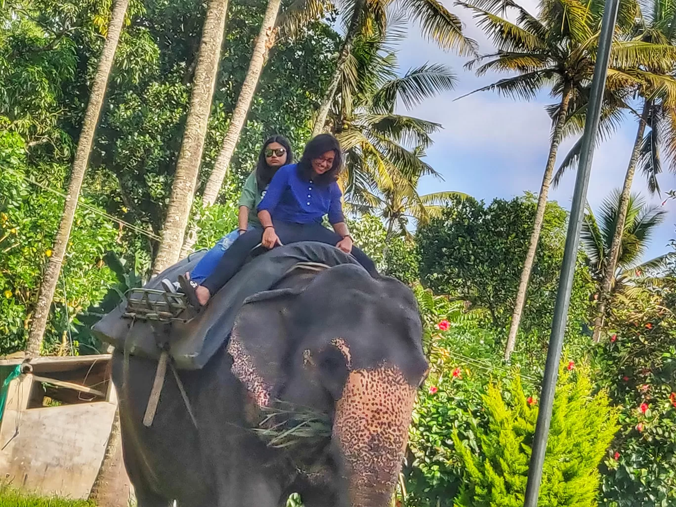 Photo of Kerala By Sonal Singh