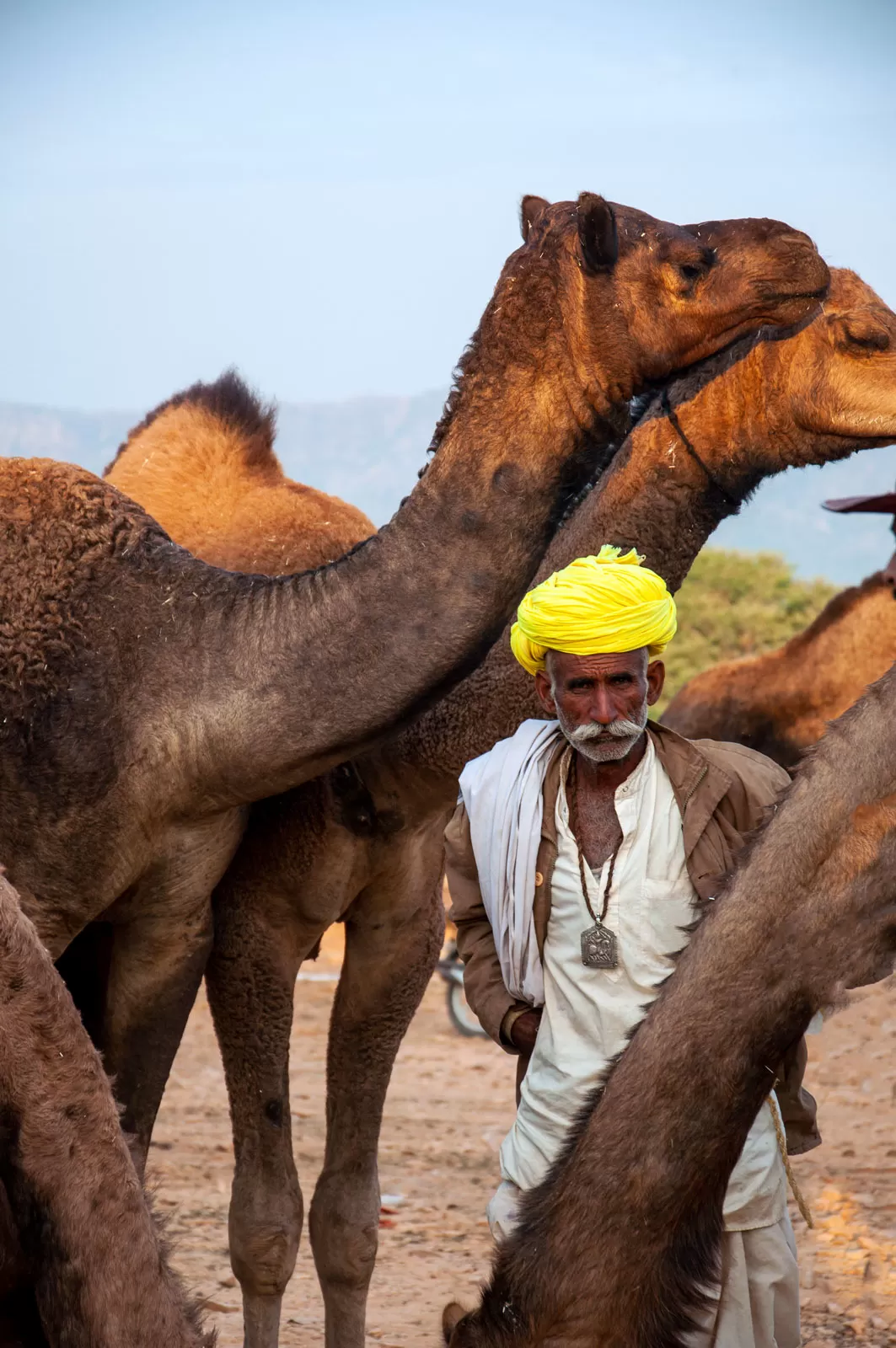 Photo of Pushkar By Palak Mittal