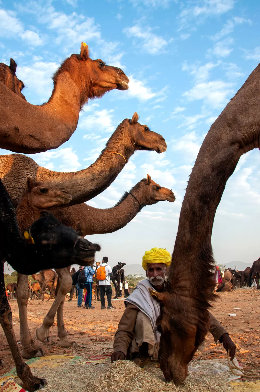 Photo of Pushkar By Palak Mittal