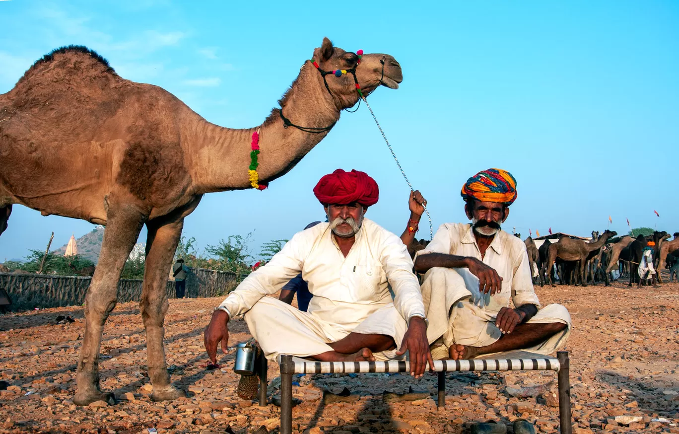 Photo of Pushkar By Palak Mittal