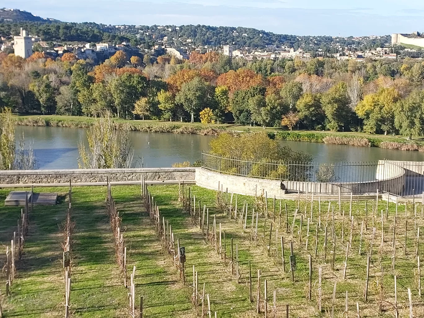 Photo of Avignon By C'est la vie