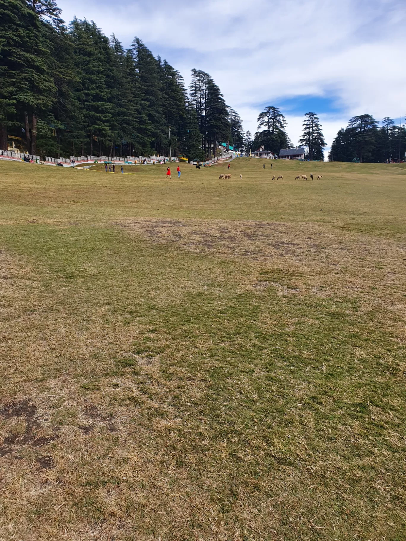 Photo of Khajjiar By Isha sharma