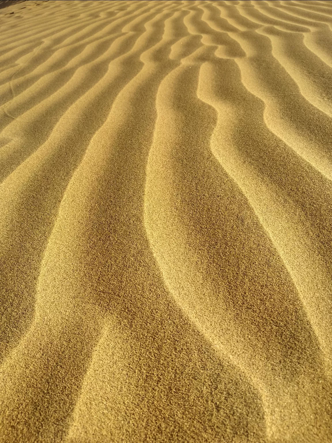 Photo of Mahabar Sand Dunes By Kavil Mehta