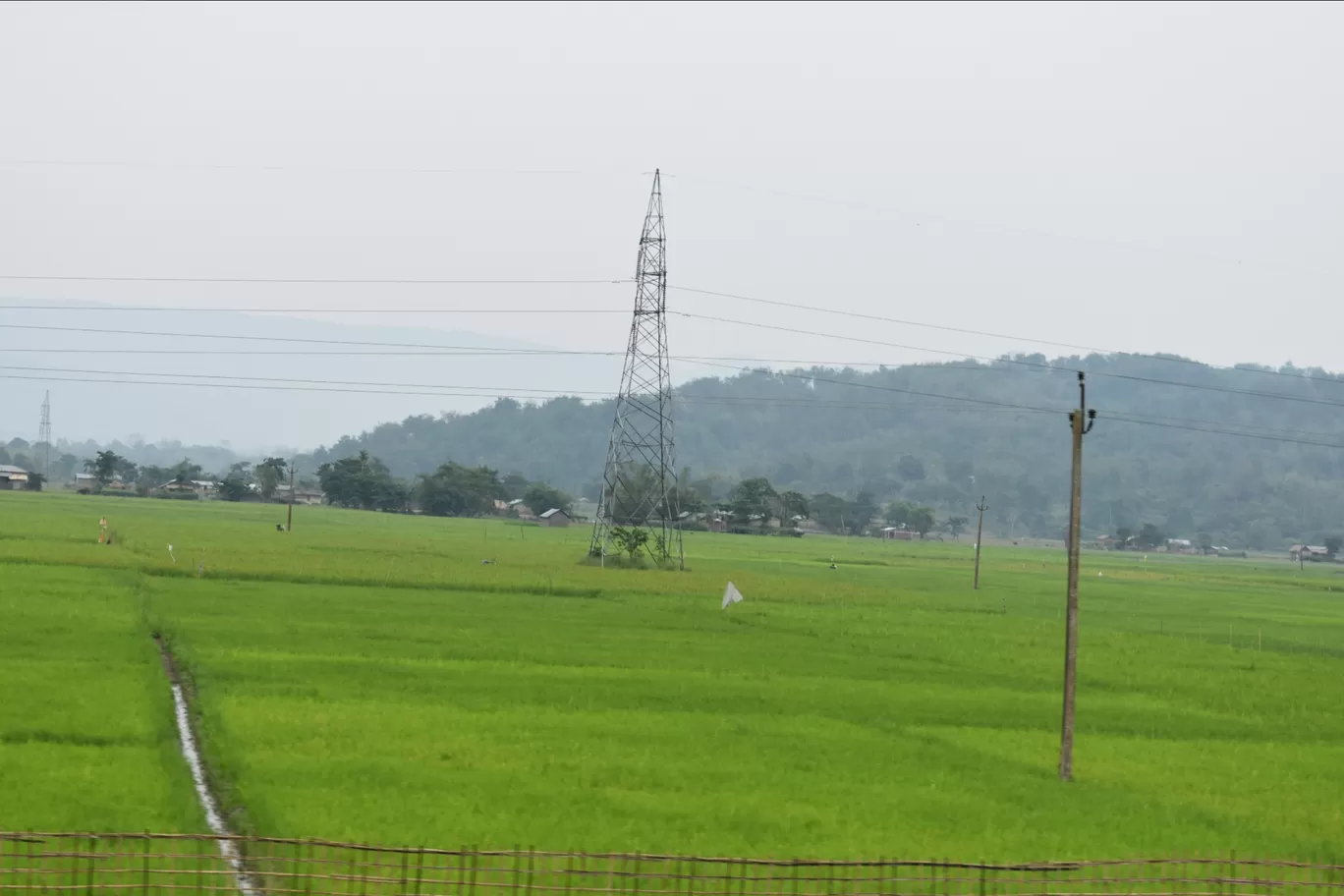 Photo of Assam By Nishtha Nath