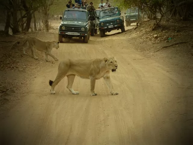 Photo of India By Nishtha Nath