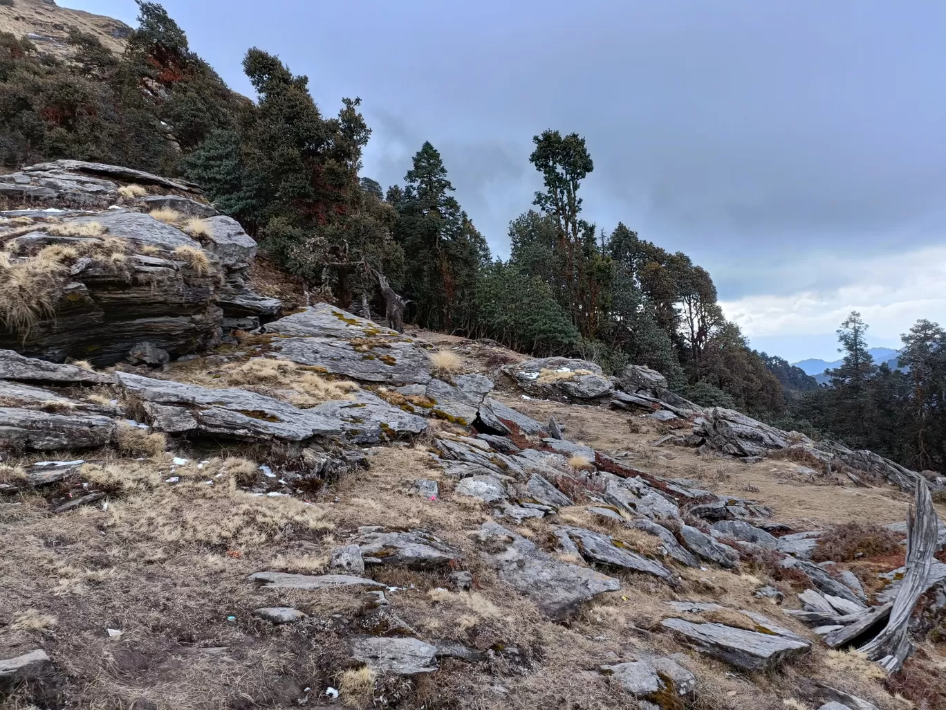 Photo of Chopta By Nishtha Nath