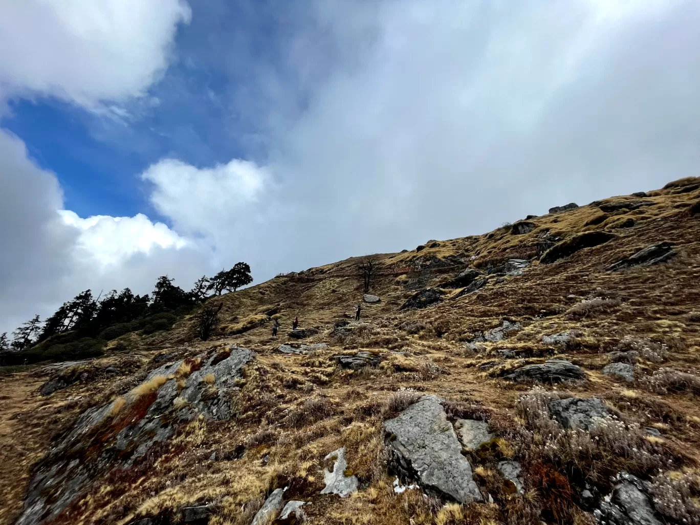 Photo of Chopta By Nishtha Nath