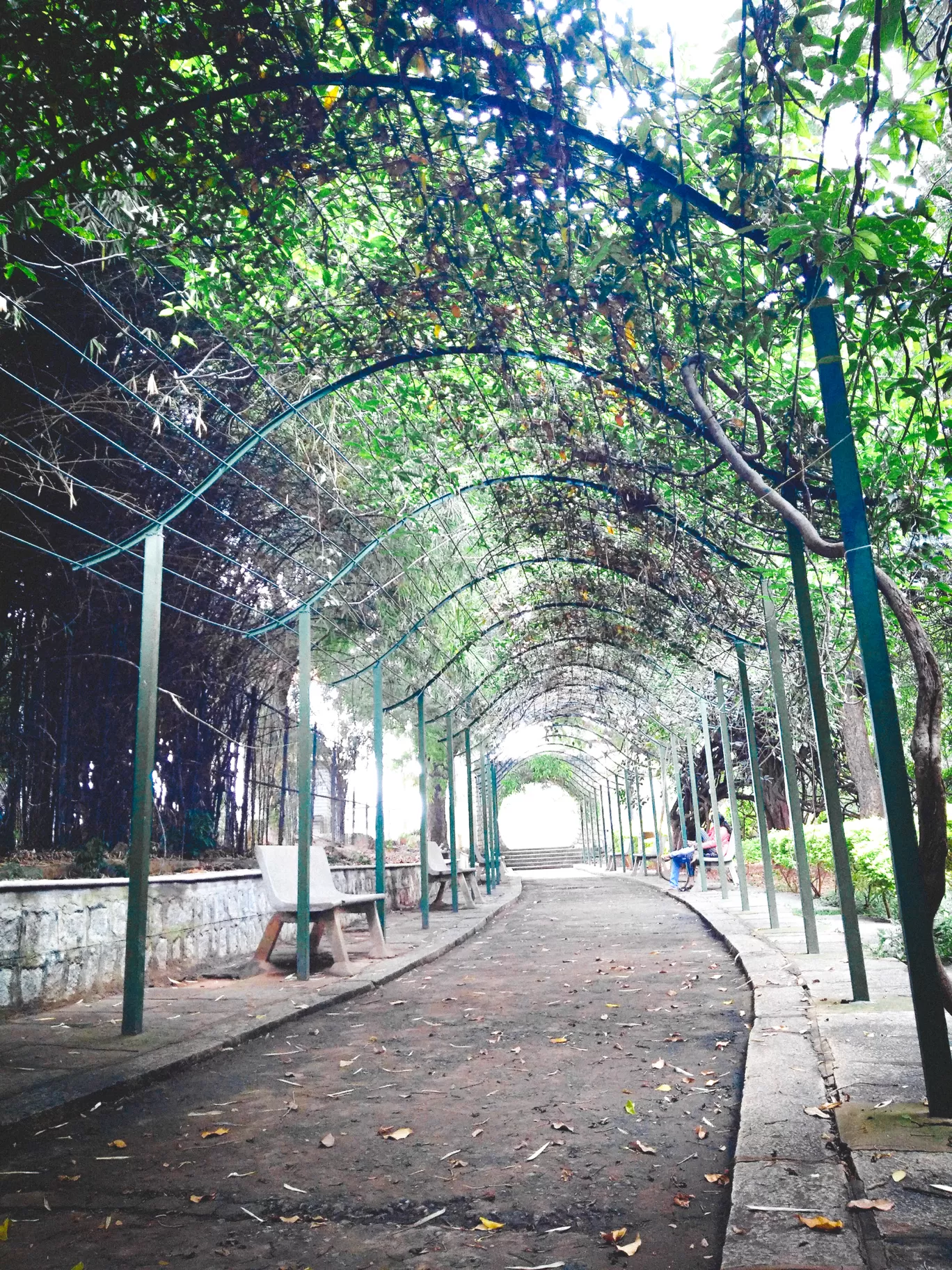 Photo of Bengaluru By TheHimalayanGypsy