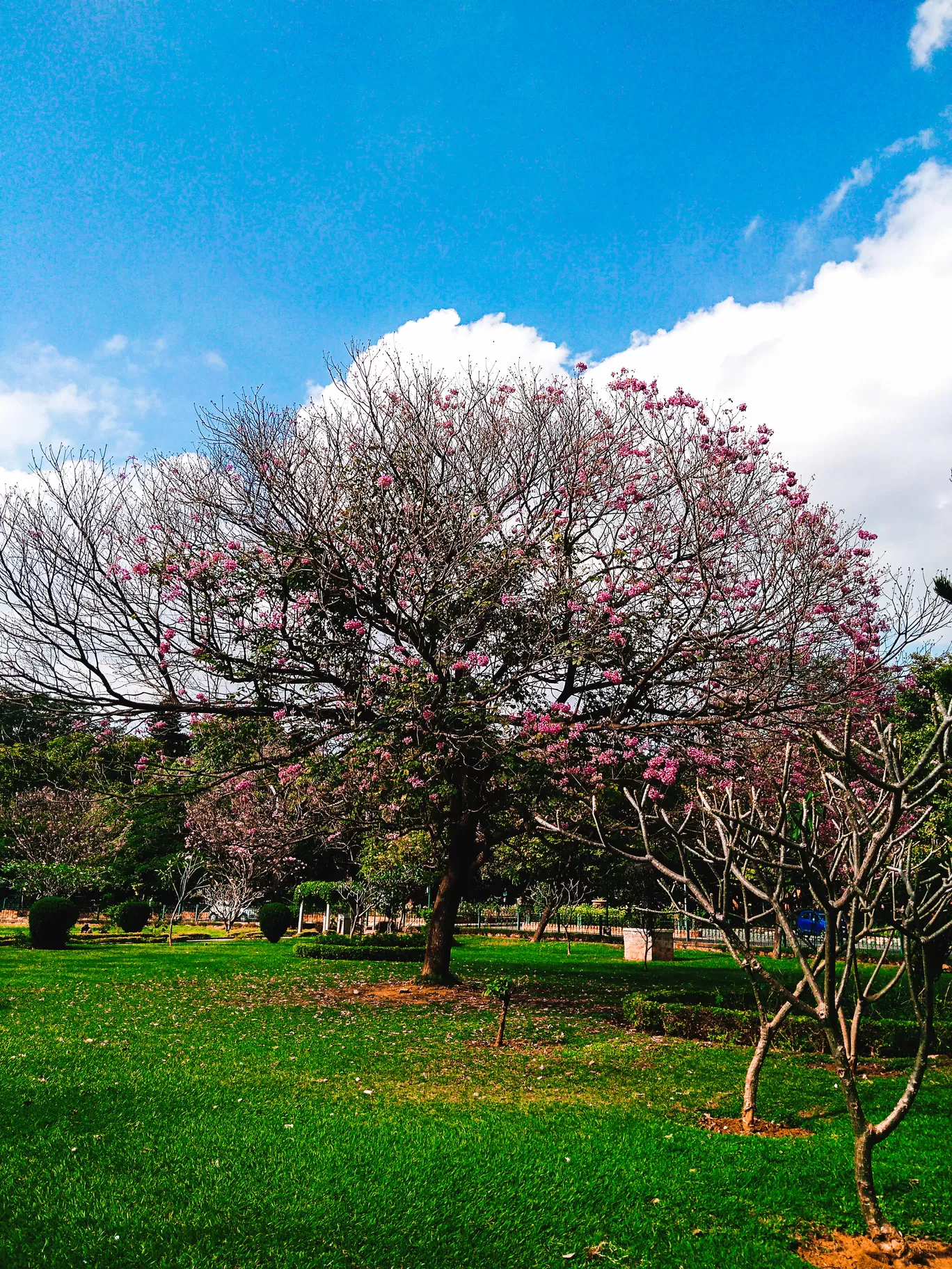 Photo of Bengaluru By TheHimalayanGypsy