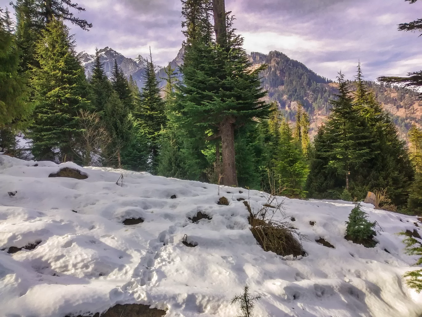 Photo of Manali By TheHimalayanGypsy