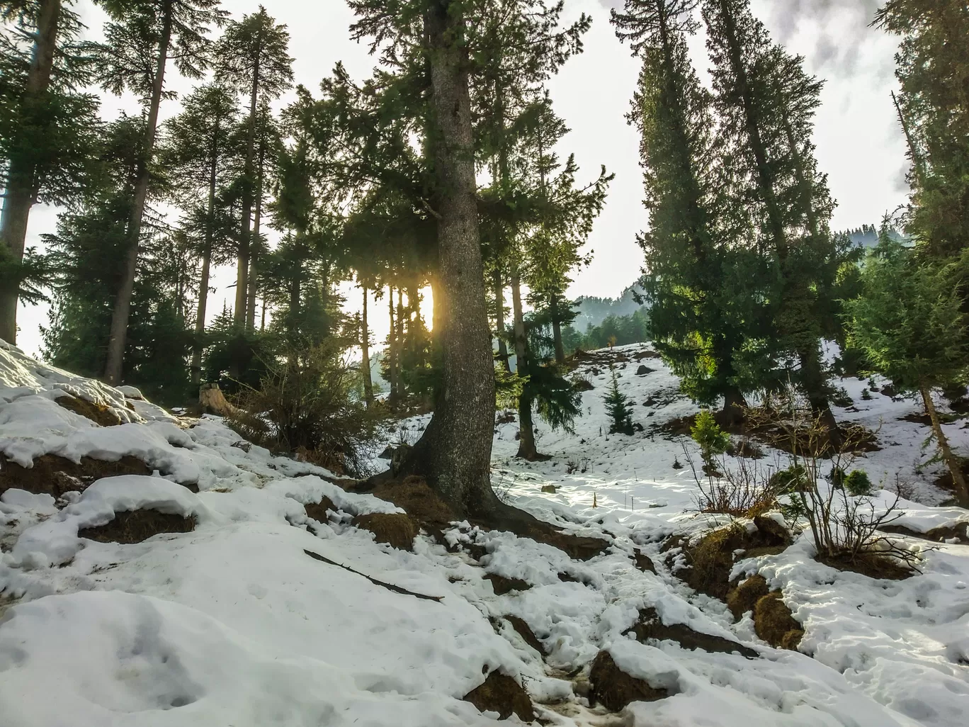 Photo of Manali By TheHimalayanGypsy