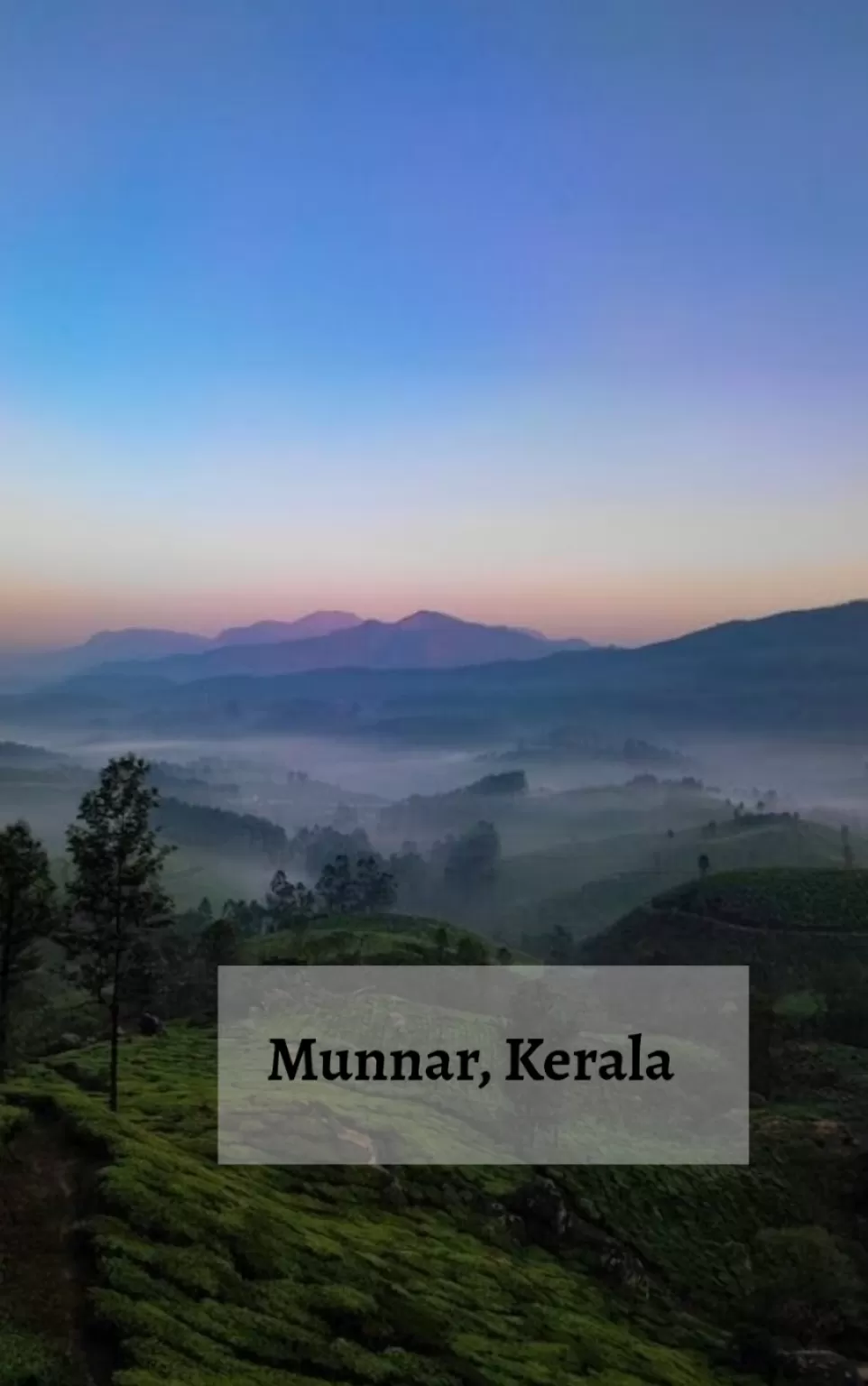 Photo of Munnar By TheHimalayanGypsy