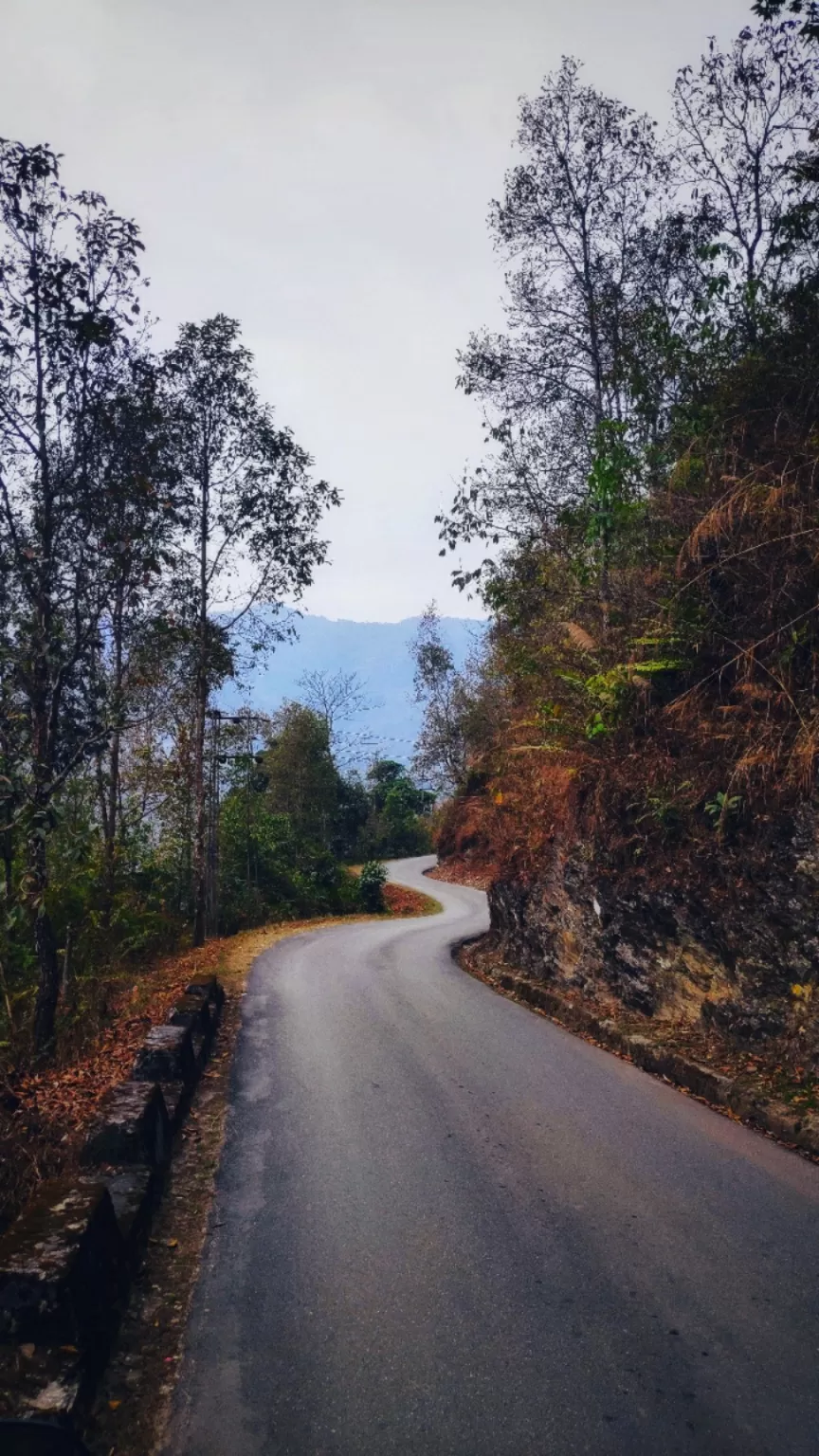Photo of North Bengal By sangeeta goon