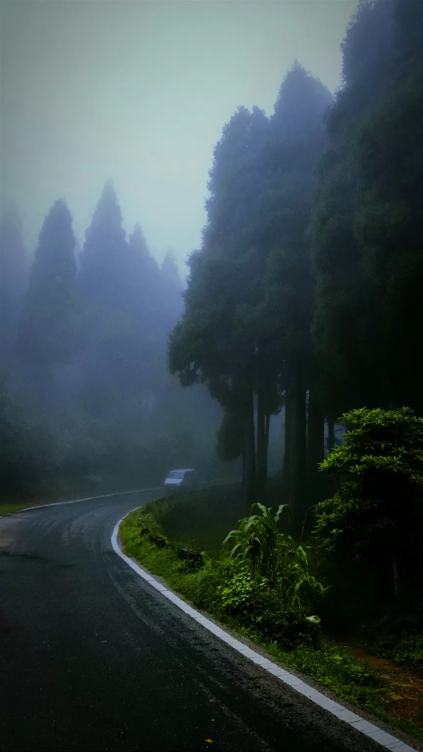 Photo of Darjeeling By sangeeta goon