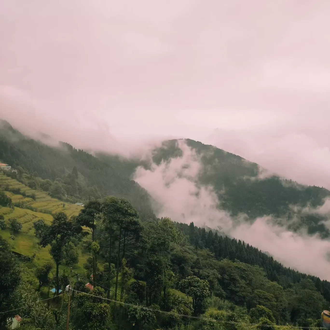 Photo of Darjeeling By sangeeta goon