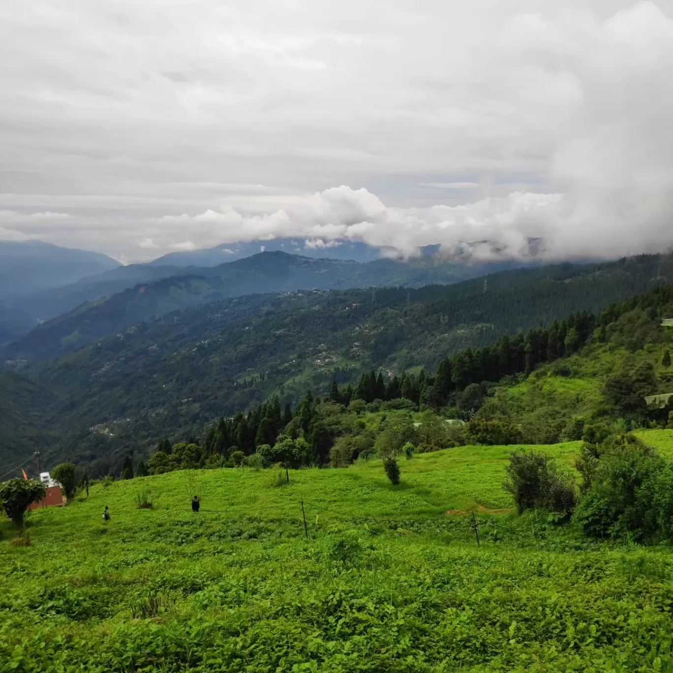 Photo of Darjeeling By sangeeta goon