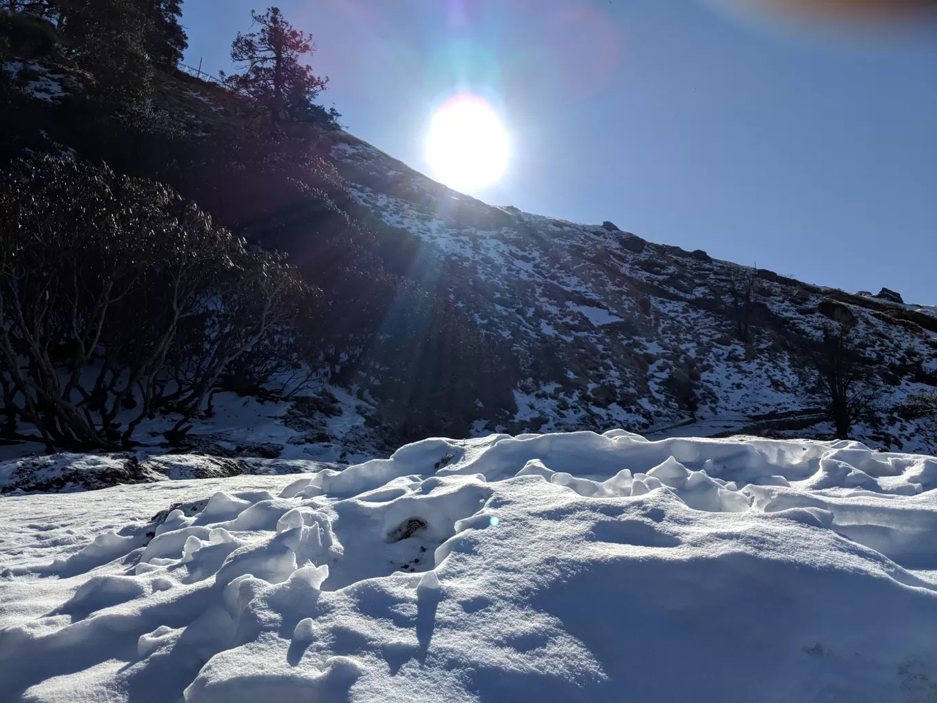 Photo of Chandrashila Trek By Aditya Gupta