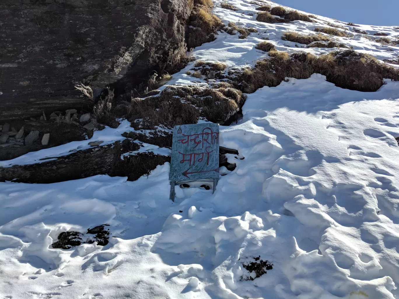 Photo of Chandrashila Trek By Aditya Gupta