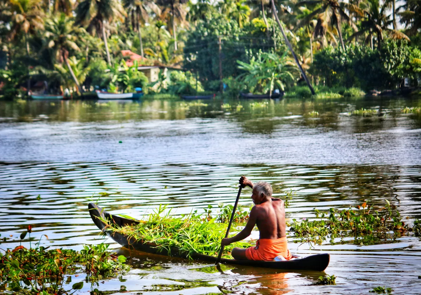 Photo of Alleppey By chetan