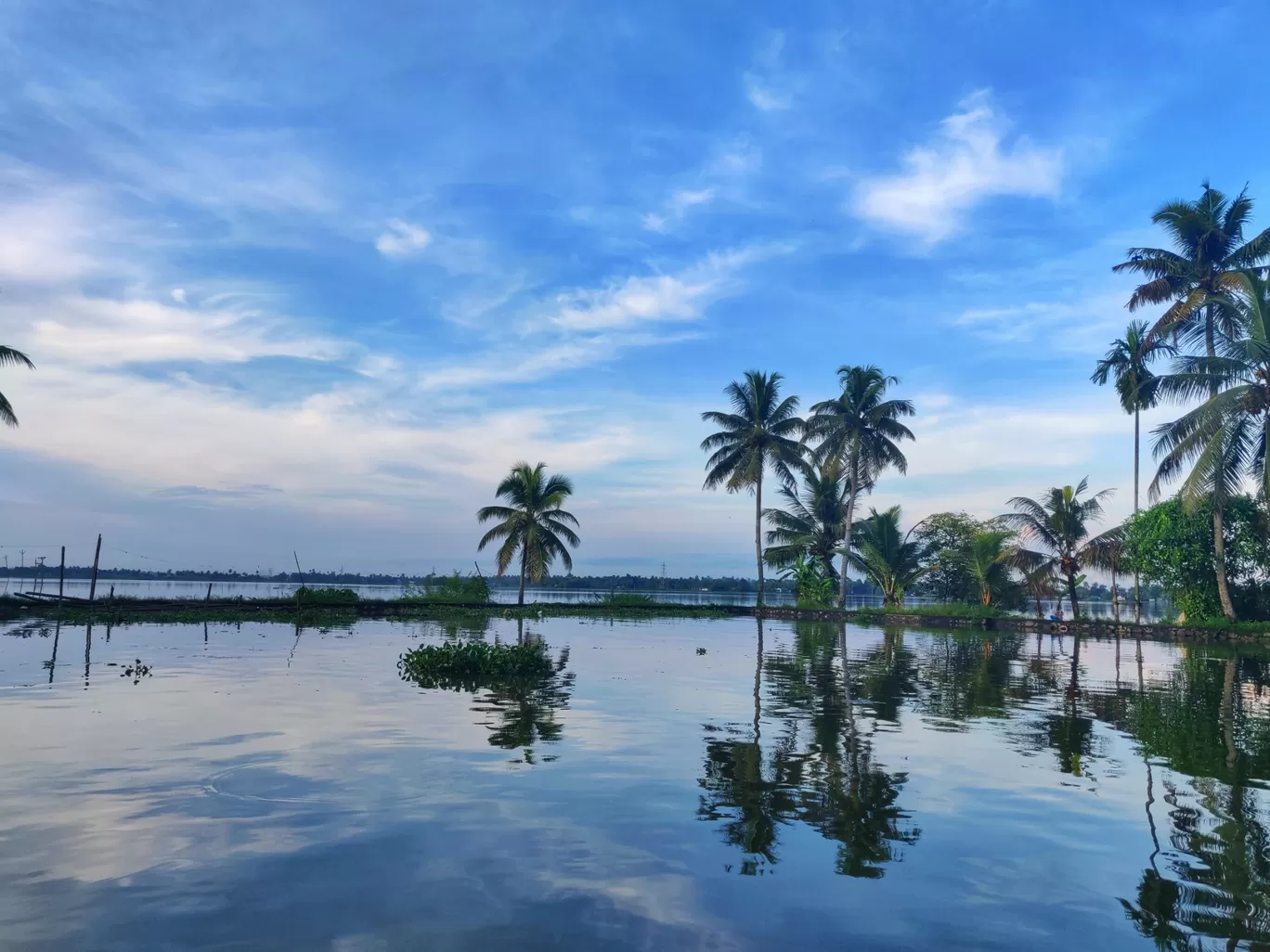 Photo of Alleppey By chetan