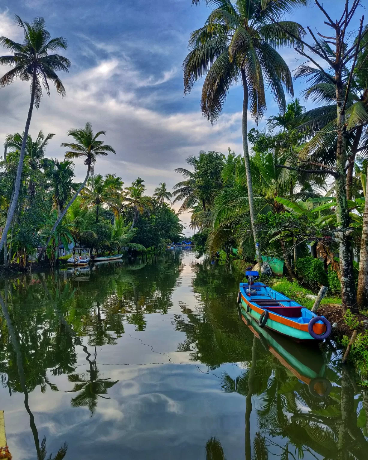 Photo of Alleppey By chetan