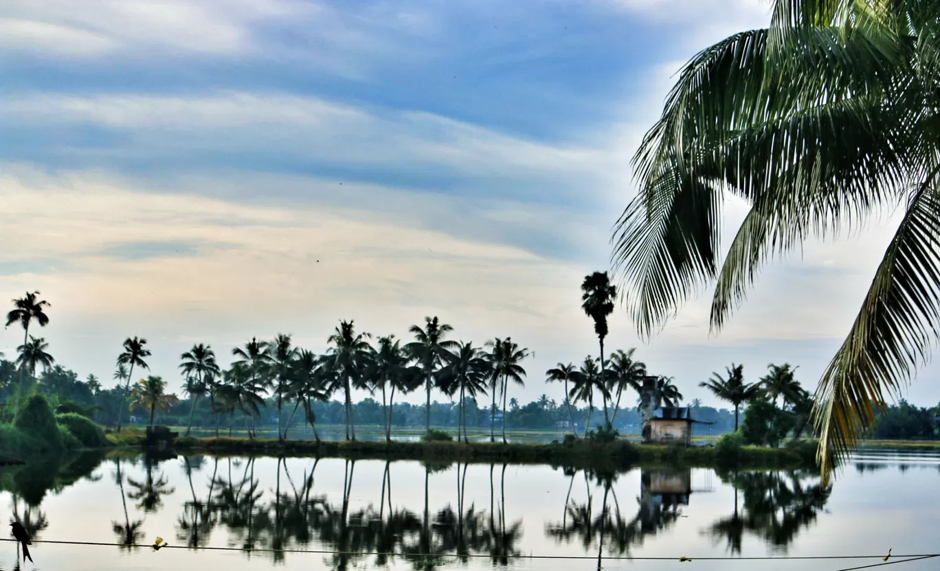 Photo of Alleppey By chetan