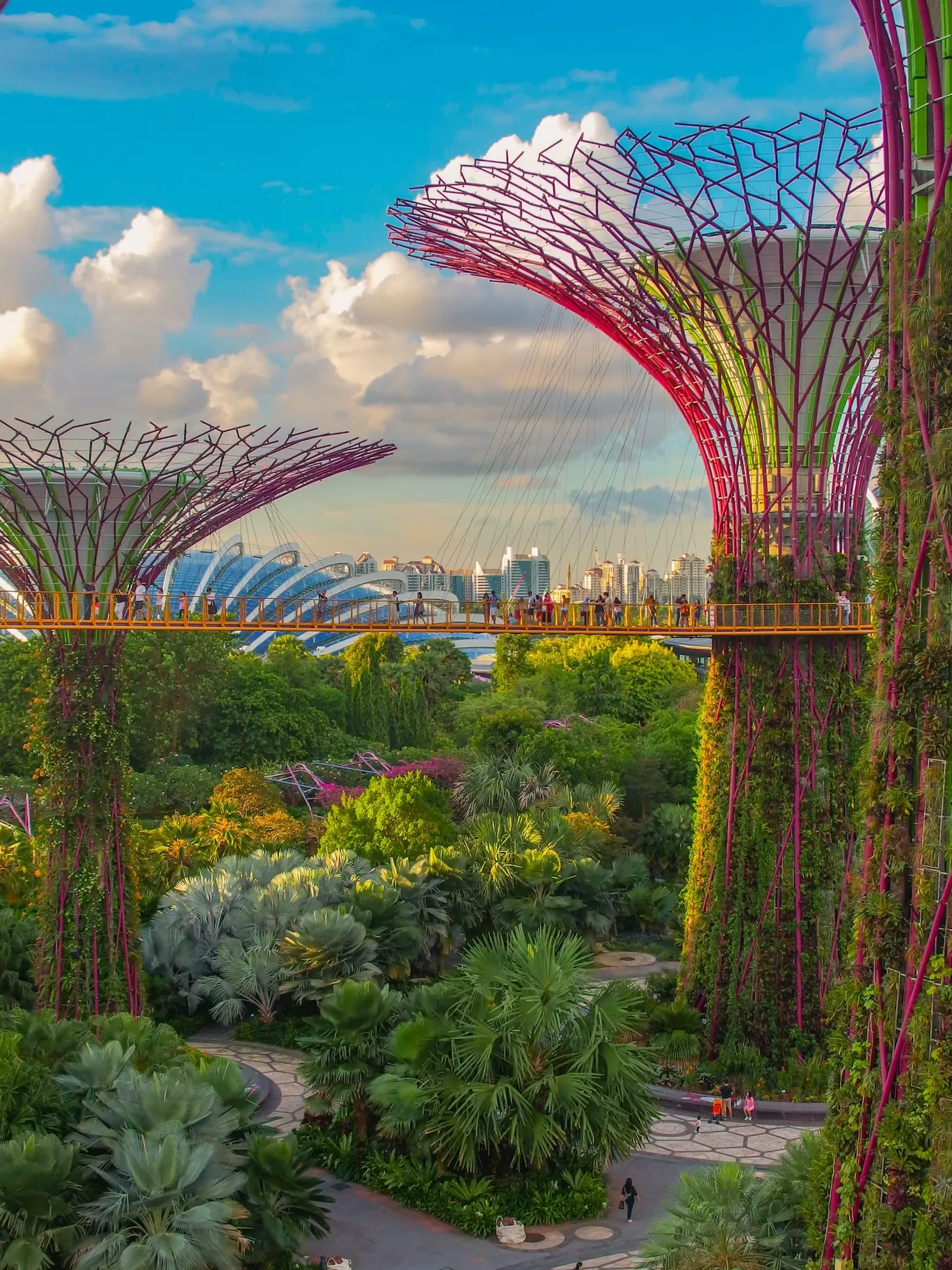 Photo of Singapore By Tanushree Chandavarker