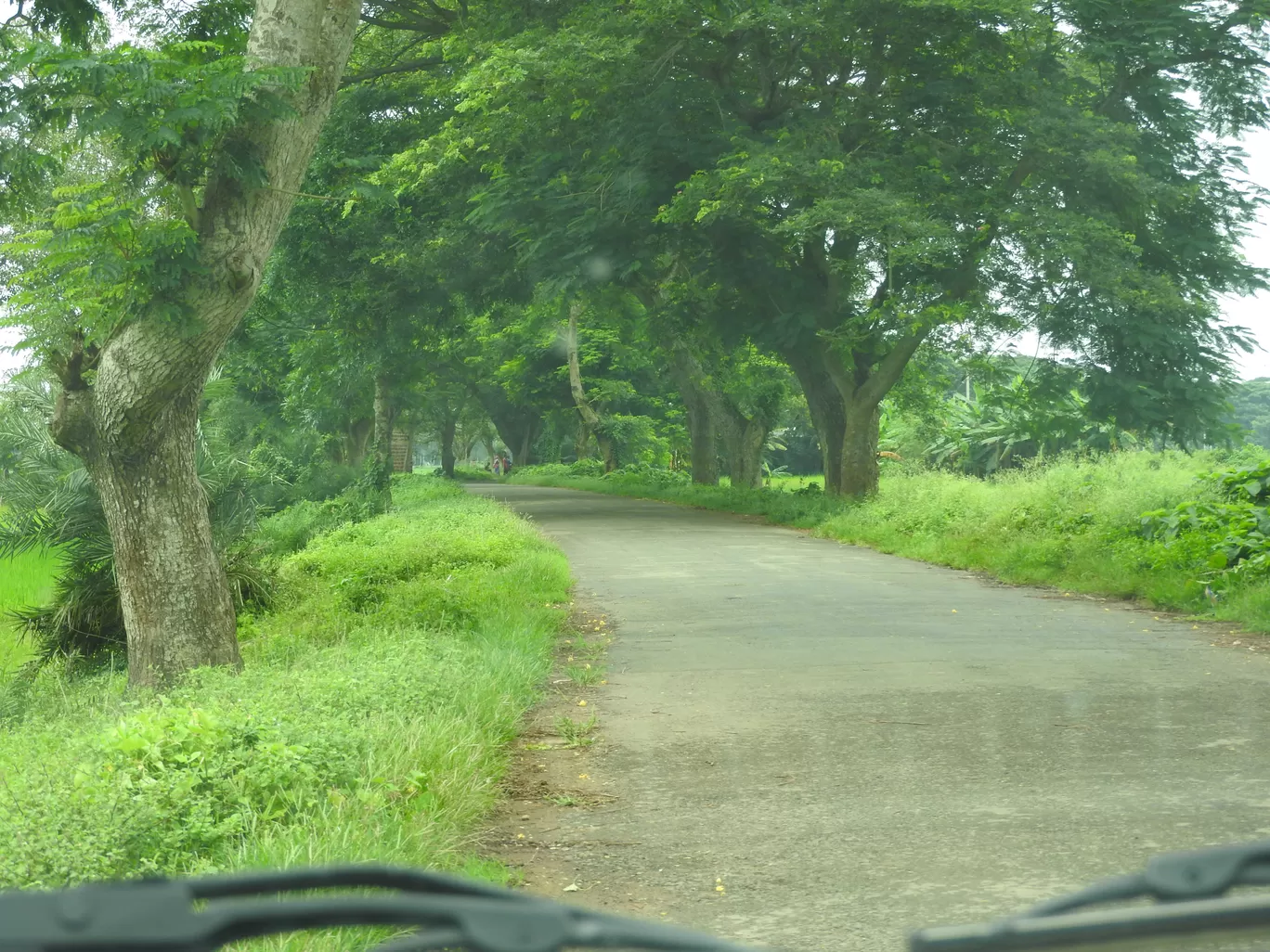 Photo of Bhubaneswar By PG
