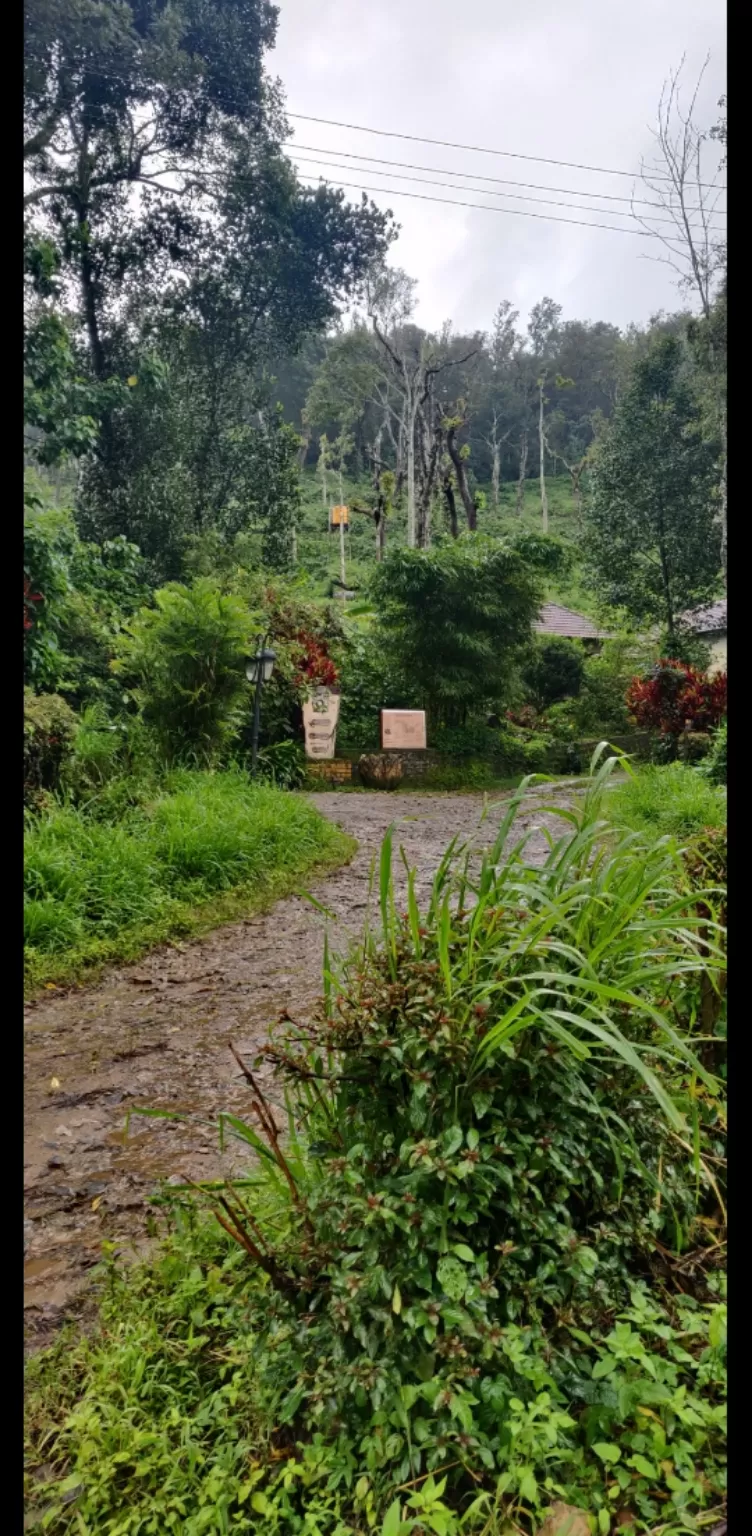 Photo of Coorg By Kritika Tyagi