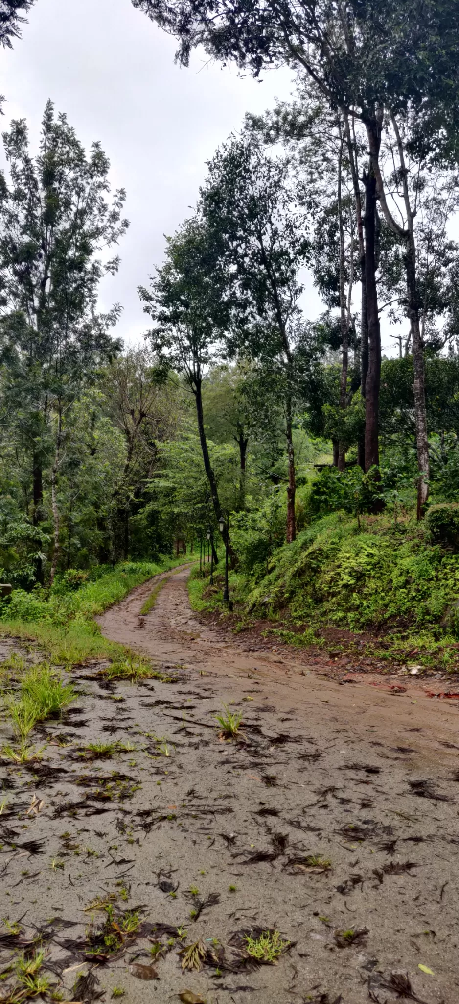 Photo of Coorg By Kritika Tyagi