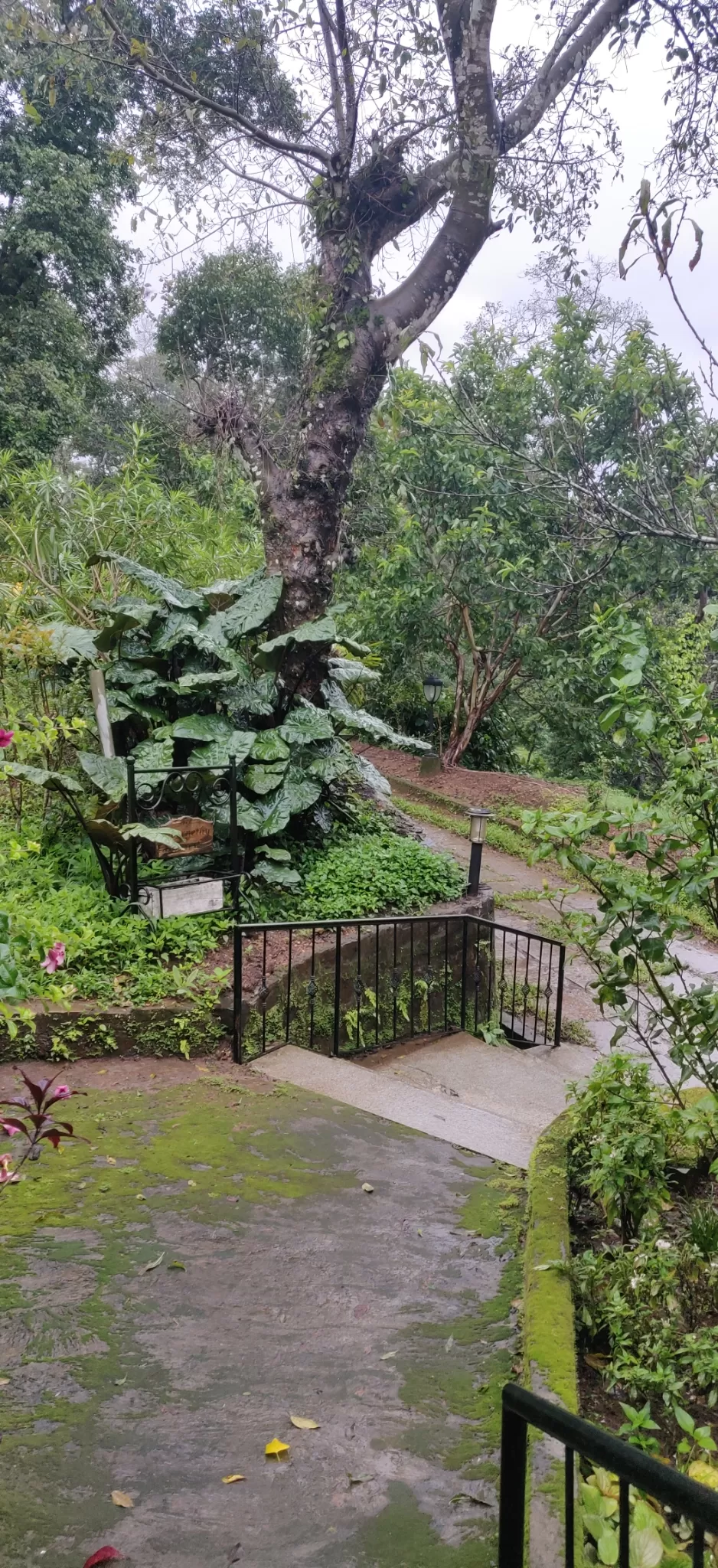 Photo of Coorg By Kritika Tyagi