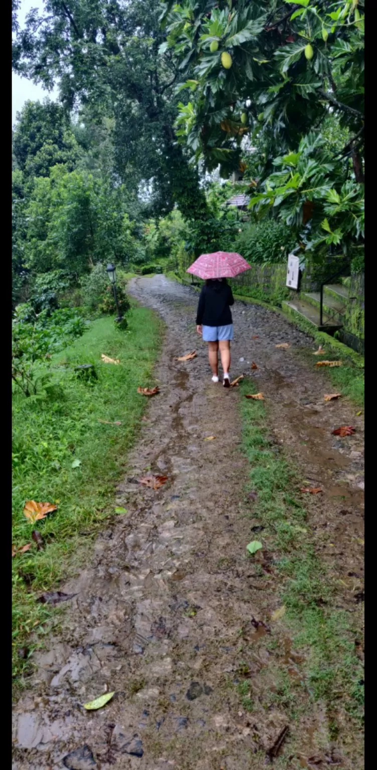 Photo of Coorg By Kritika Tyagi
