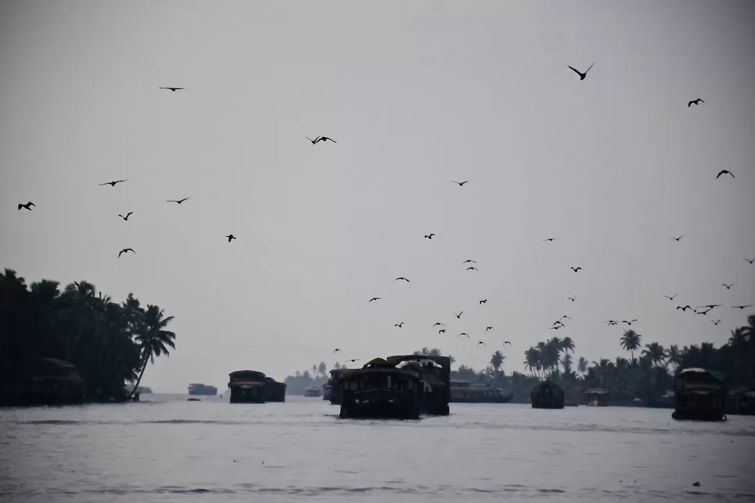 Photo of Alappuzha By Preity Yadav