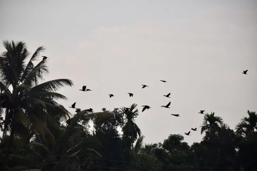 Photo of Alappuzha By Preity Yadav
