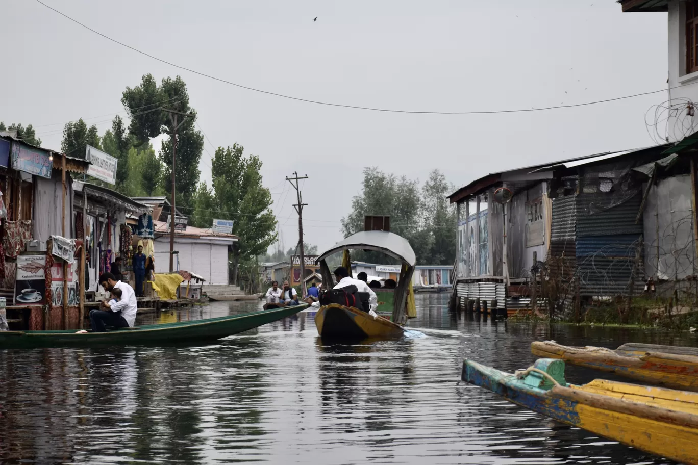 Photo of Dal Lake By Preity Yadav