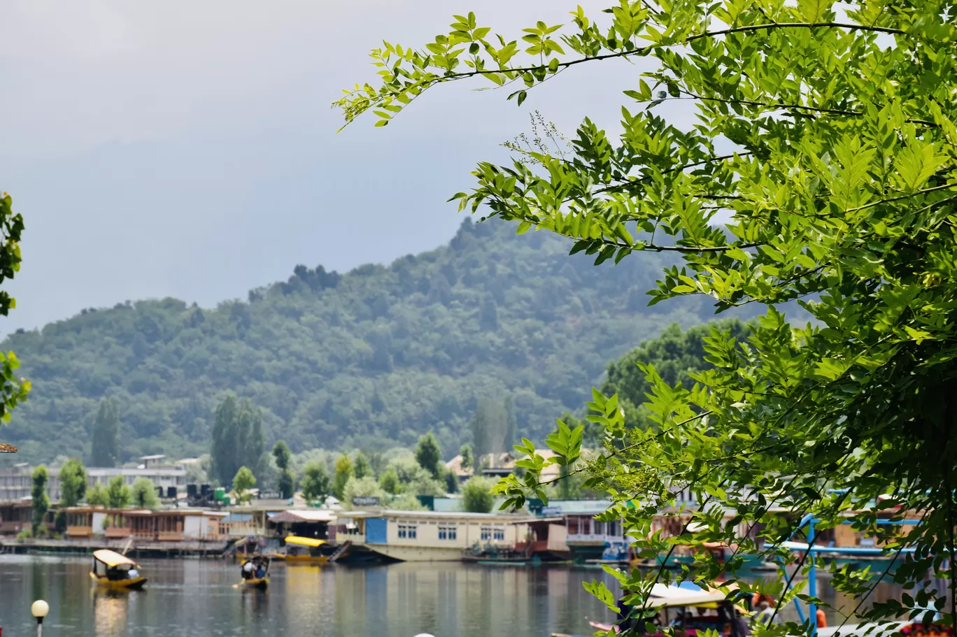 Photo of Dal Lake By Preity Yadav