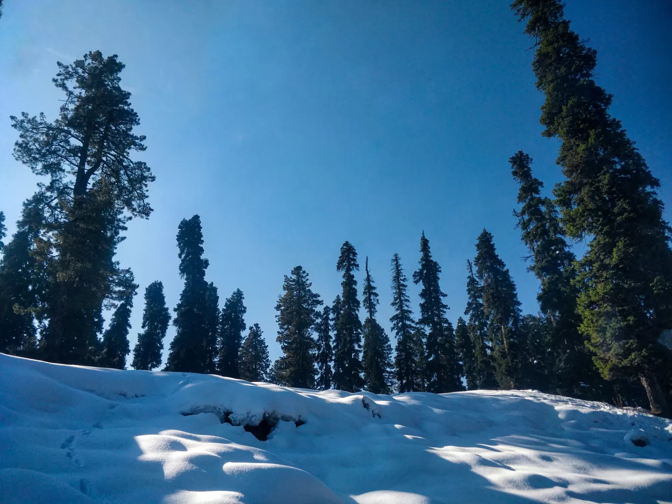 Photo of Gulmarg By Sumeet