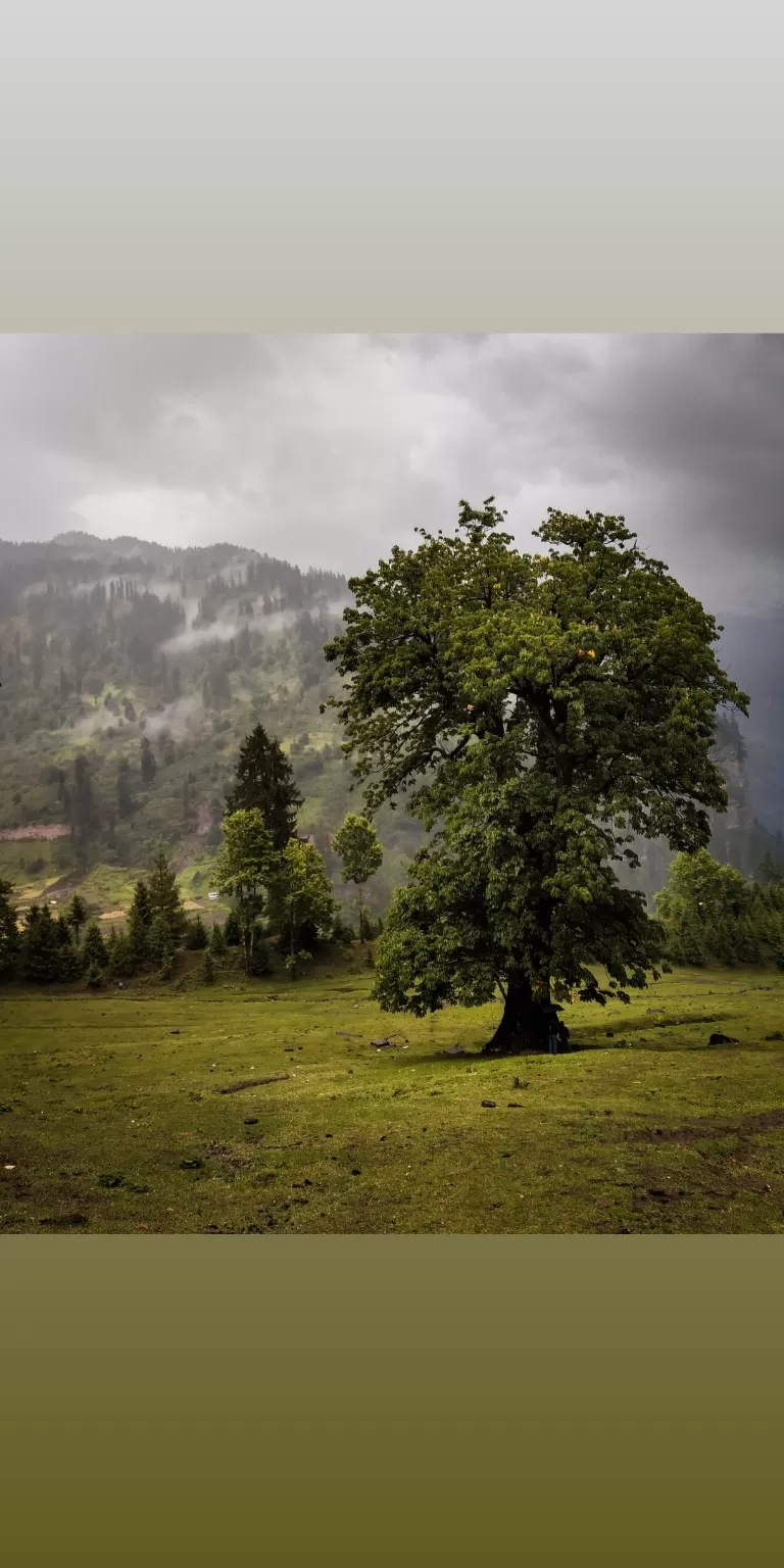 Photo of Himachal Pradesh By Kavish Shah