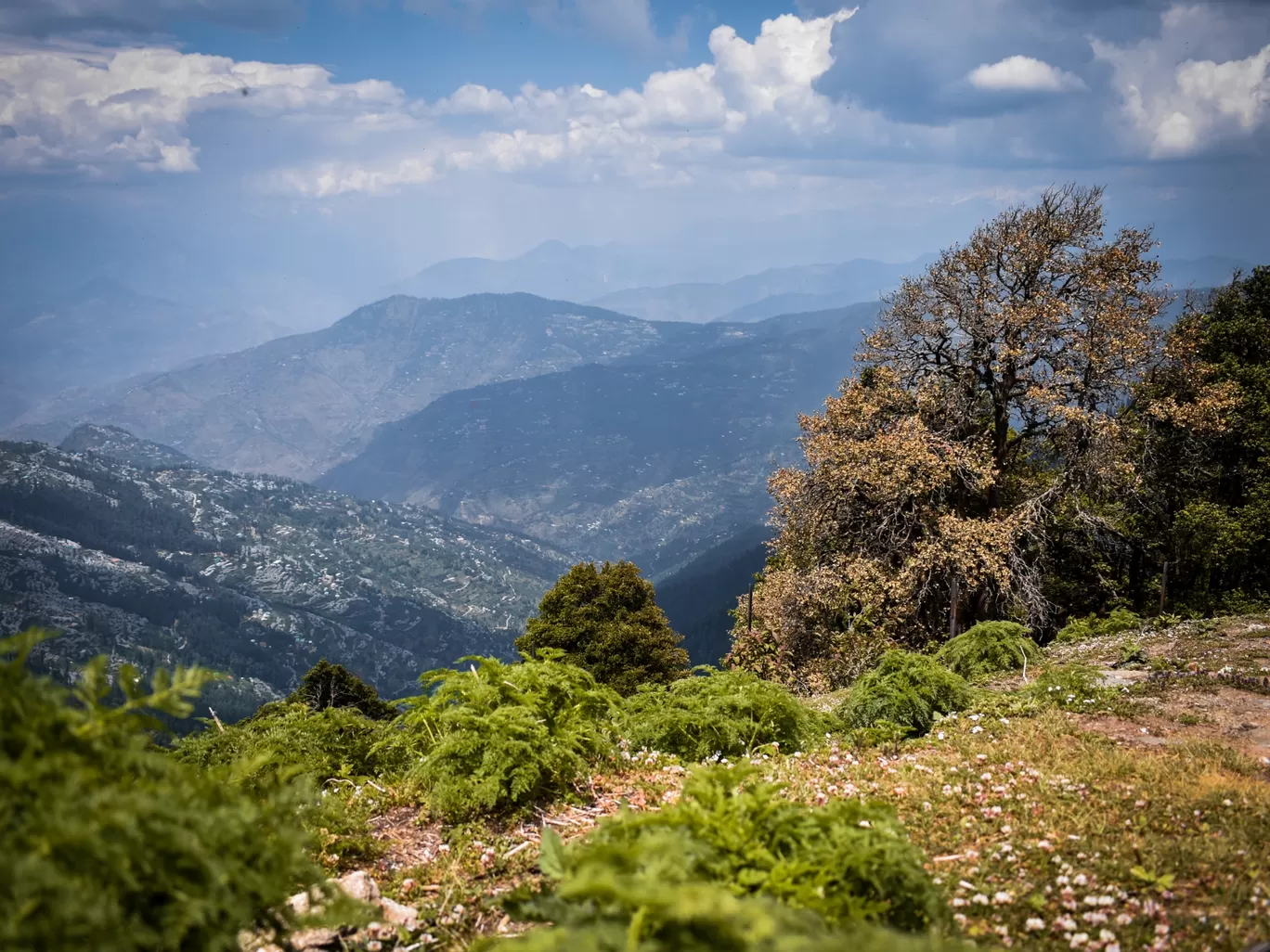 Photo of Himachal Pradesh By Kavish Shah