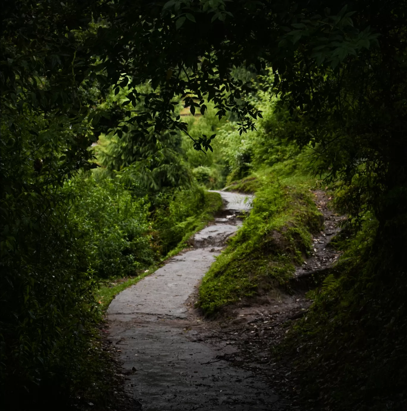 Photo of Himachal Pradesh By Kavish Shah