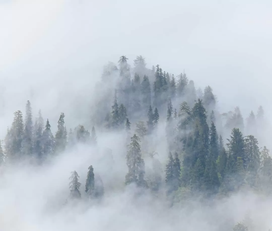 Photo of Himachal Pradesh By Kavish Shah