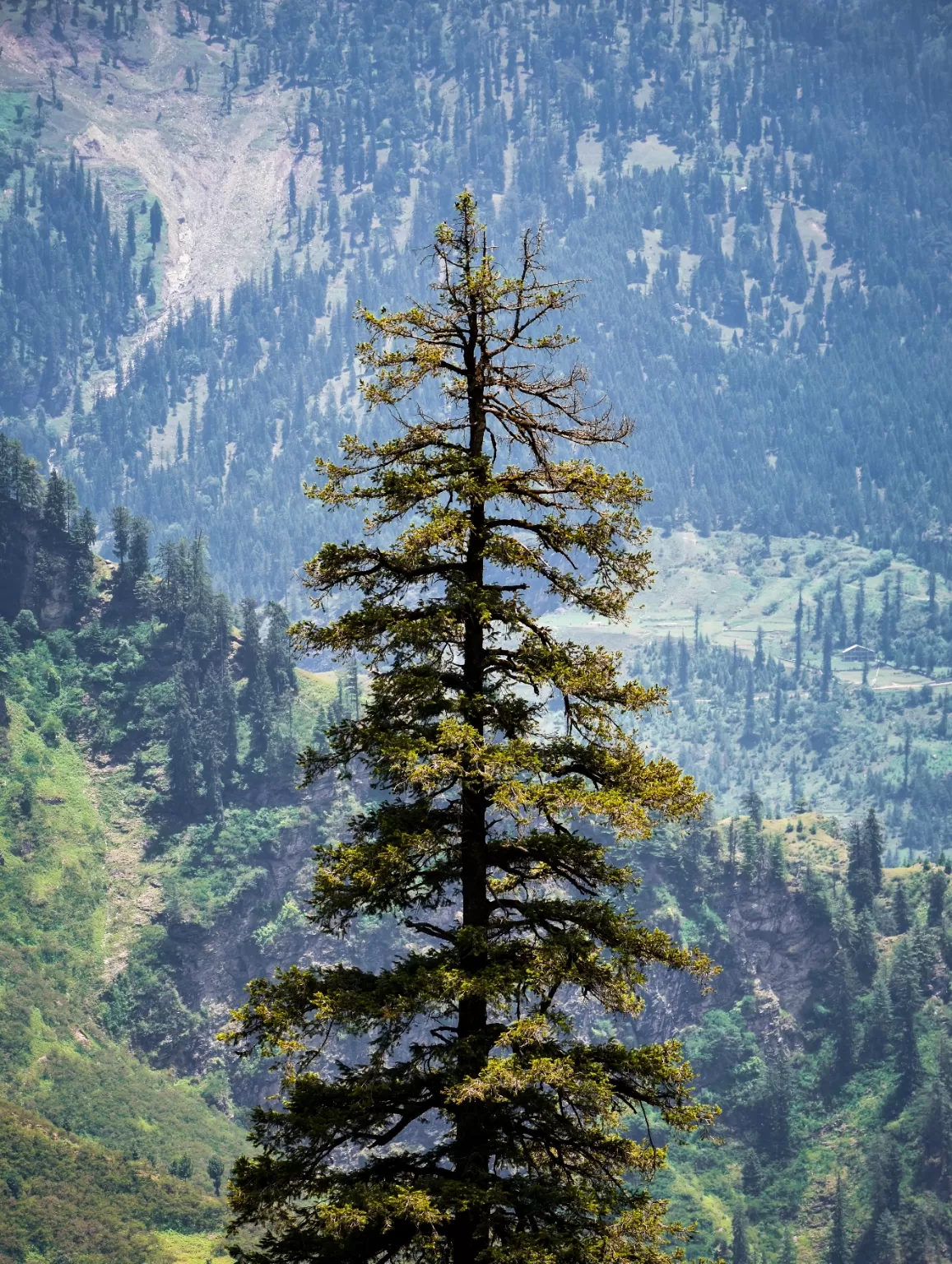 Photo of Himachal Pradesh By Kavish Shah