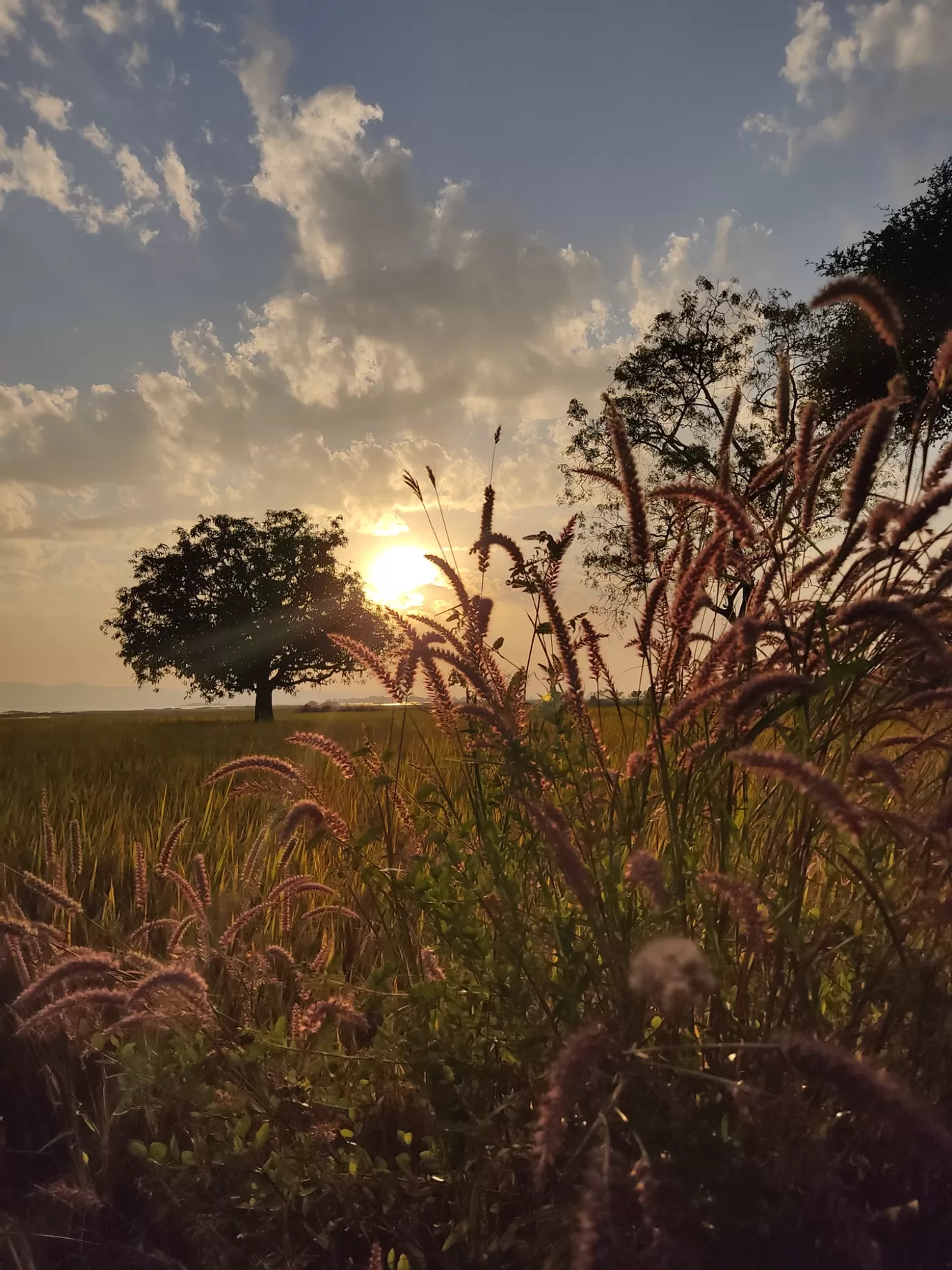 Photo of Jharsuguda By Loknath Shah