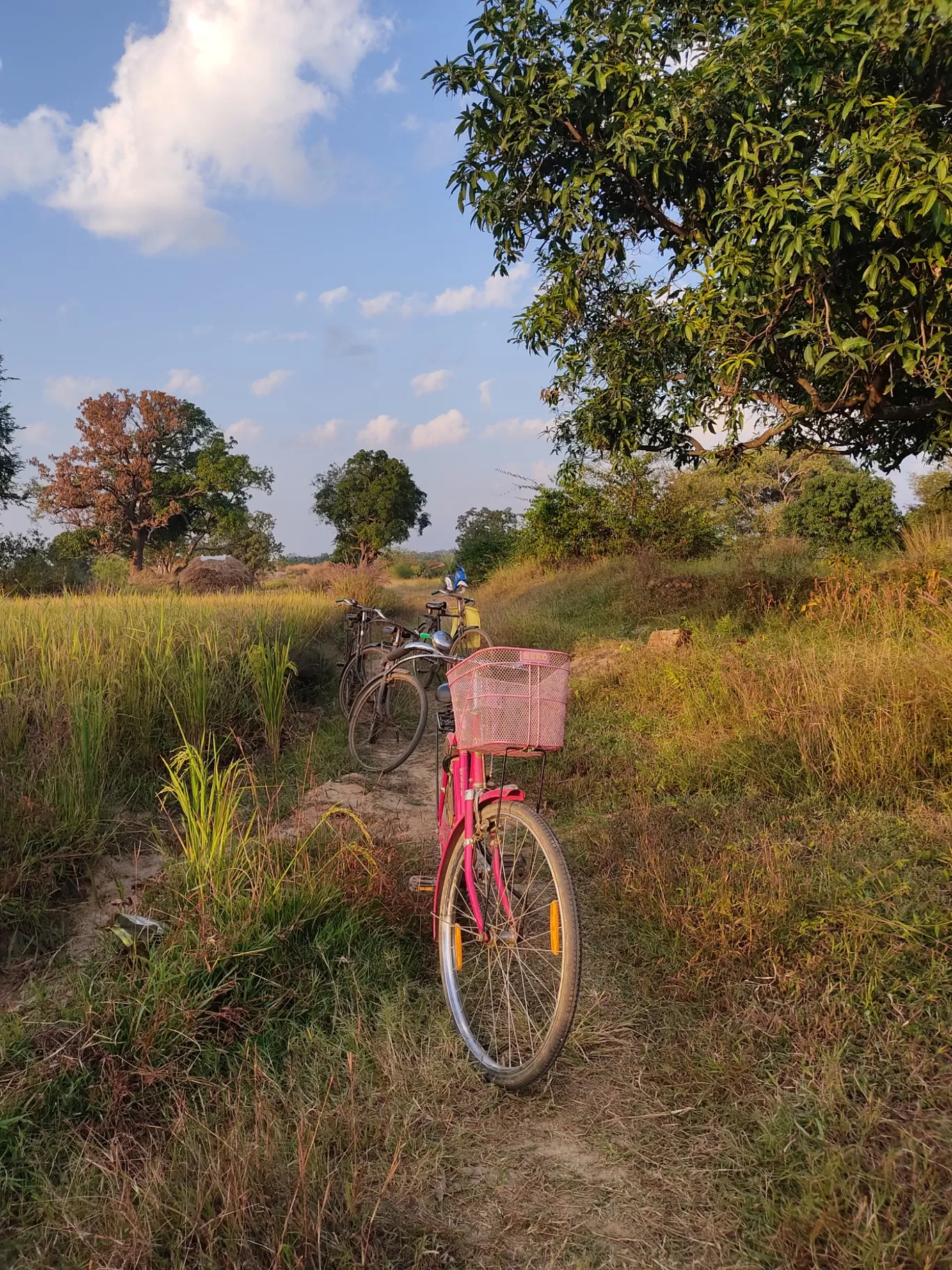 Photo of Jharsuguda By Loknath Shah