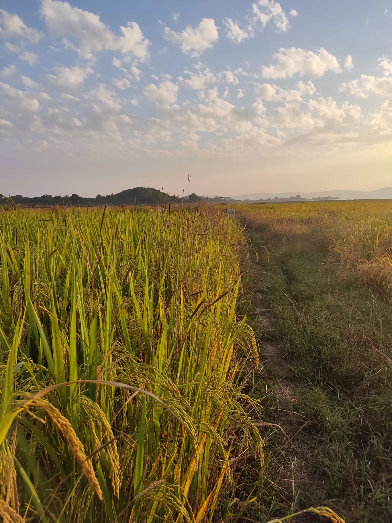 Photo of Jharsuguda By Loknath Shah